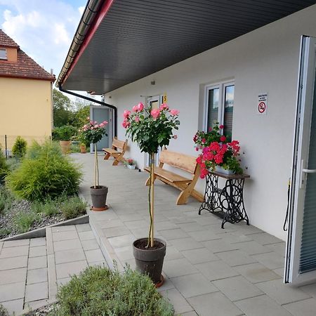 Pokoje Pod Grusza -Osobne Wejscia Kudowa Zdroj Exterior photo